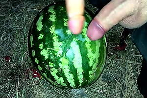 I found a WATERMELON in dramatize expunge forest and fucked it in several members / Male orgasm / Russian dirty talk / Dildo